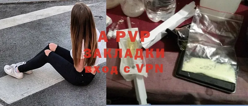 A-PVP СК Каргополь