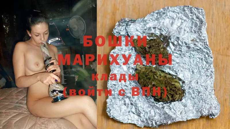 как найти наркотики  Каргополь  Конопля Ganja 